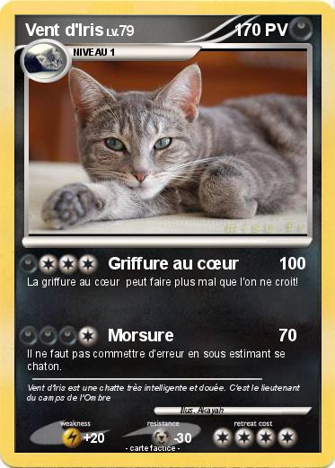 Pokemon Vent d'Iris