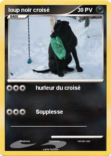 Pokemon loup noir croisé