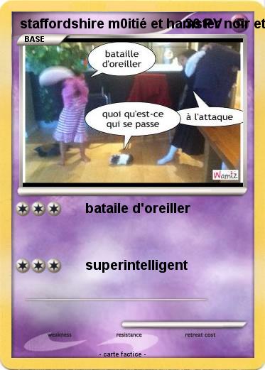 Pokemon staffordshire m0itié et hamster noir et blanc