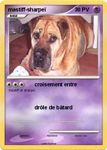 Pokemon mastiff-sharpeï
