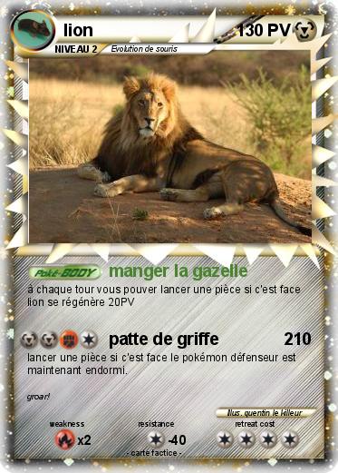 Pokemon lion