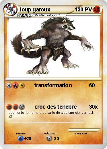 Pokemon loup garoux