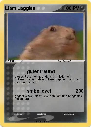 Pokemon Liam Laggies