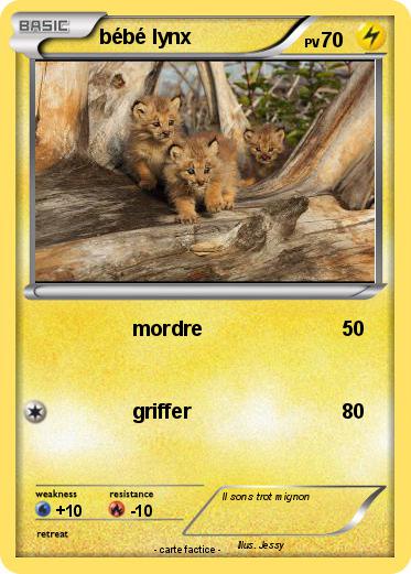 Pokemon bébé lynx