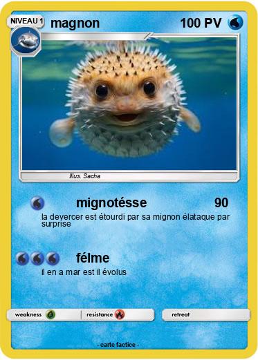 Pokemon magnon