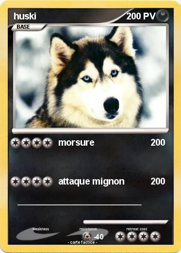 Pokemon huski