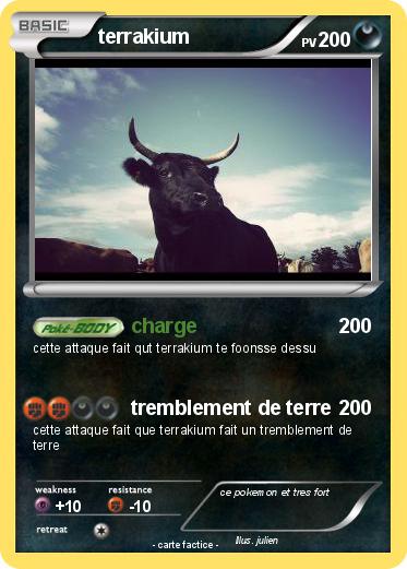 Pokemon terrakium