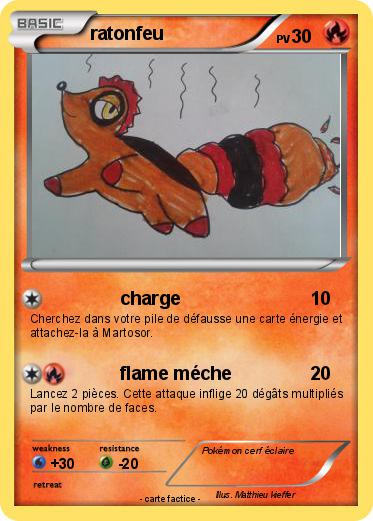 Pokemon ratonfeu