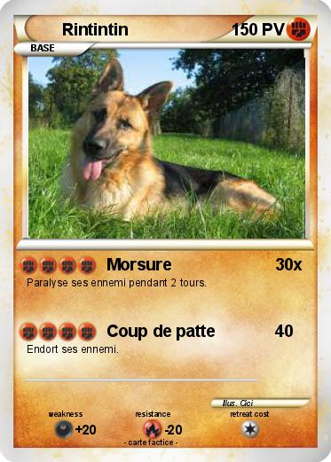 Pokemon Rintintin