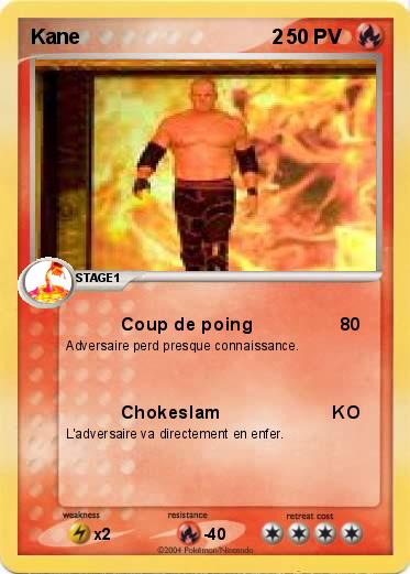 Pokemon Kane                                  2