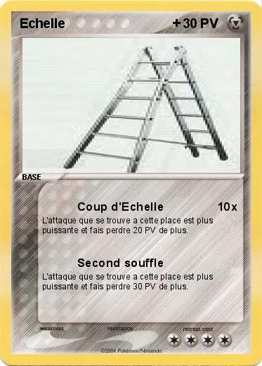 Pokemon Echelle                              +
