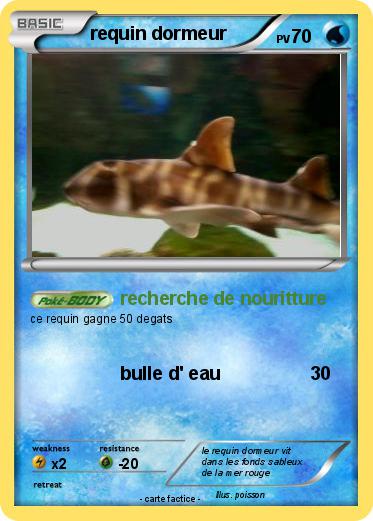 Pokemon requin dormeur