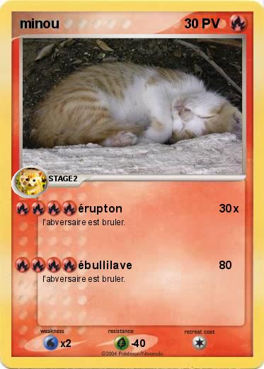 Pokemon minou