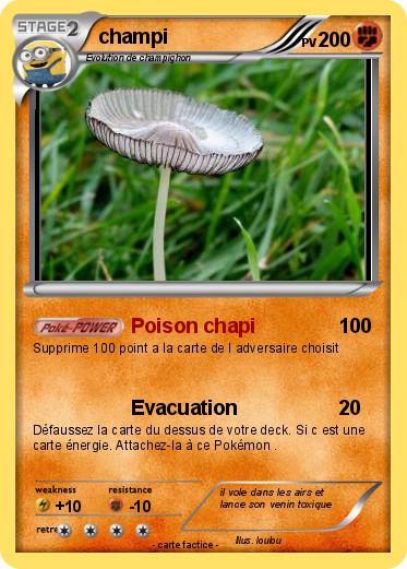 Pokemon champi