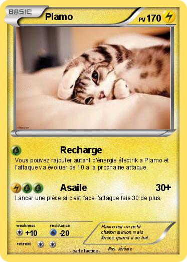 Pokemon Plamo