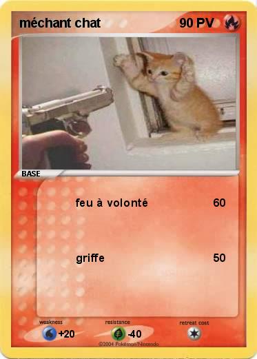 Pokemon méchant chat