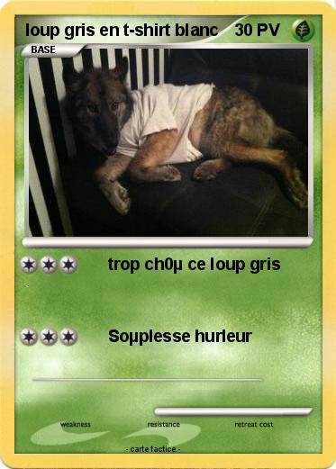 Pokemon loup gris en t-shirt blanc