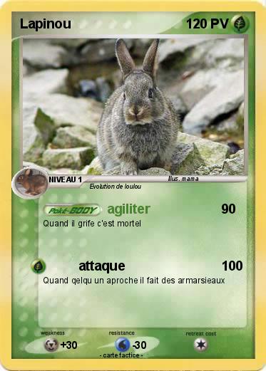 Pokemon Lapinou