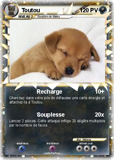 Pokemon Toutou