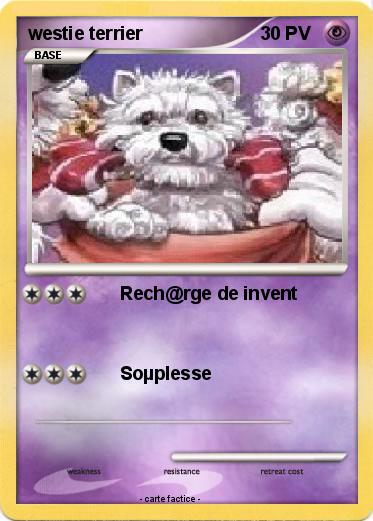 Pokemon westie terrier