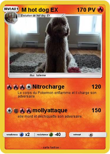 Pokemon M hot dog EX