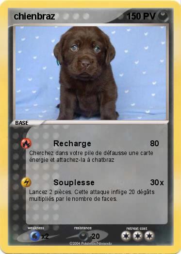 Pokemon chienbraz