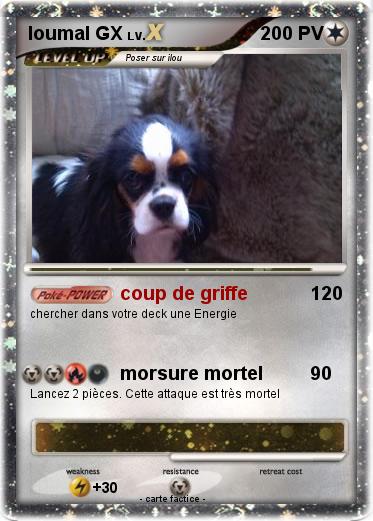 Pokemon loumal GX