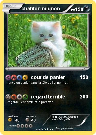 Pokemon chatiton mignon