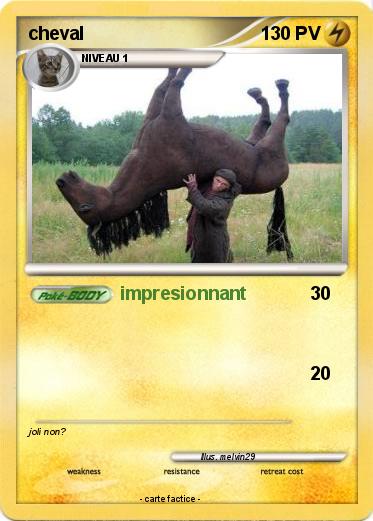 Pokemon cheval