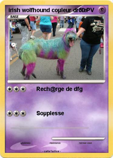 Pokemon irish wolfhound coµleur drôle