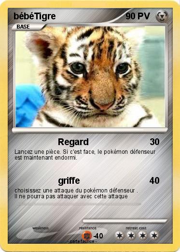 Pokemon bébéTigre