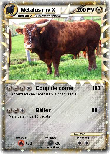 Pokemon Métalus niv X