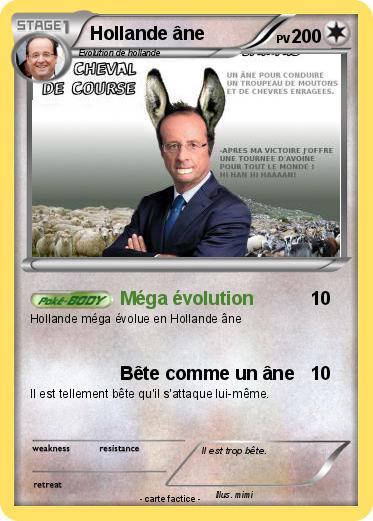 Pokemon Hollande âne