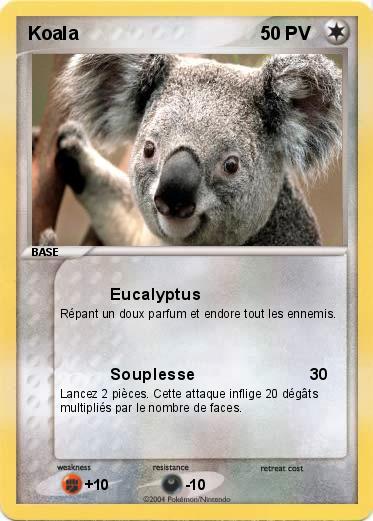 Pokemon Koala