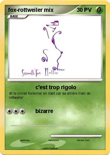 Pokemon fox-rottweiler mix