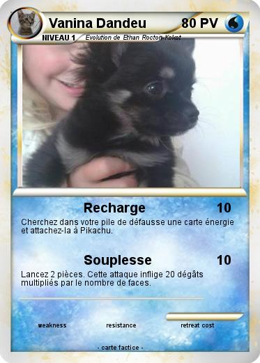 Pokemon Vanina Dandeu