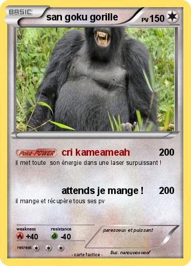 Pokemon san goku gorille