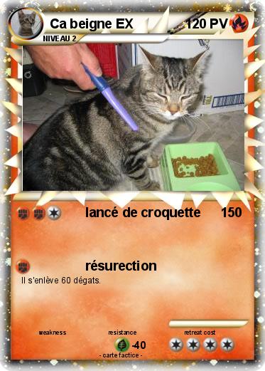 Pokemon Ca beigne EX