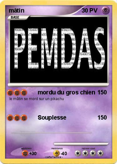 Pokemon mâtin