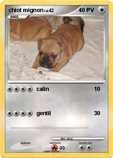 Pokemon chiot mignon