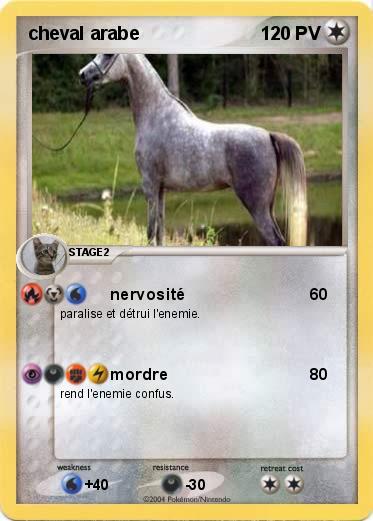 Pokemon cheval arabe