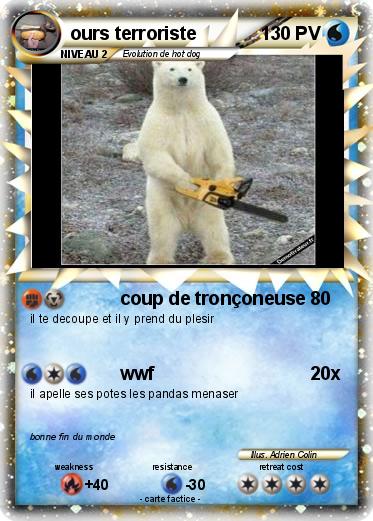 Pokemon ours terroriste