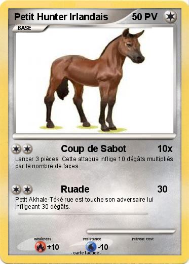 Pokemon Petit Hunter Irlandais