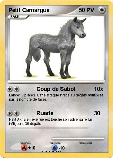Pokemon Petit Camargue