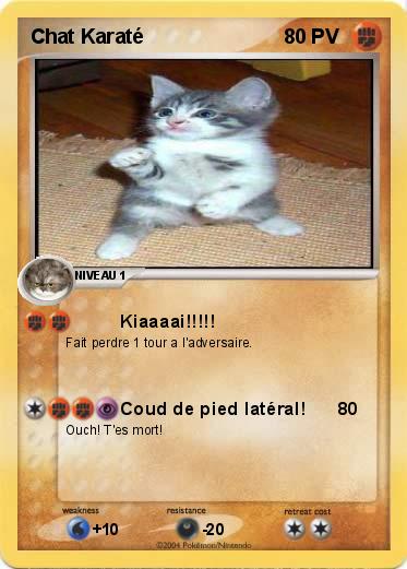 Pokemon Chat Karaté