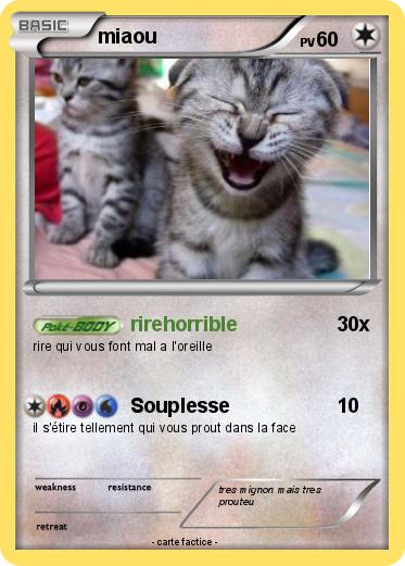 Pokemon miaou