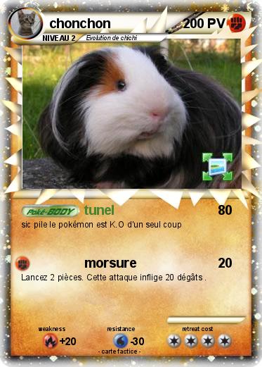 Pokemon chonchon