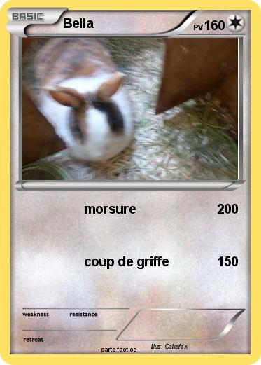 Pokemon Bella