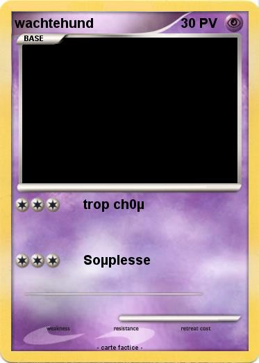 Pokemon wachtehund