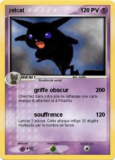 Pokemon zelcat
